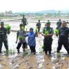 Bupati Kuningan ranam padi dengan metode jajar legowo